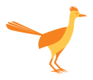 roadrunner-orange
